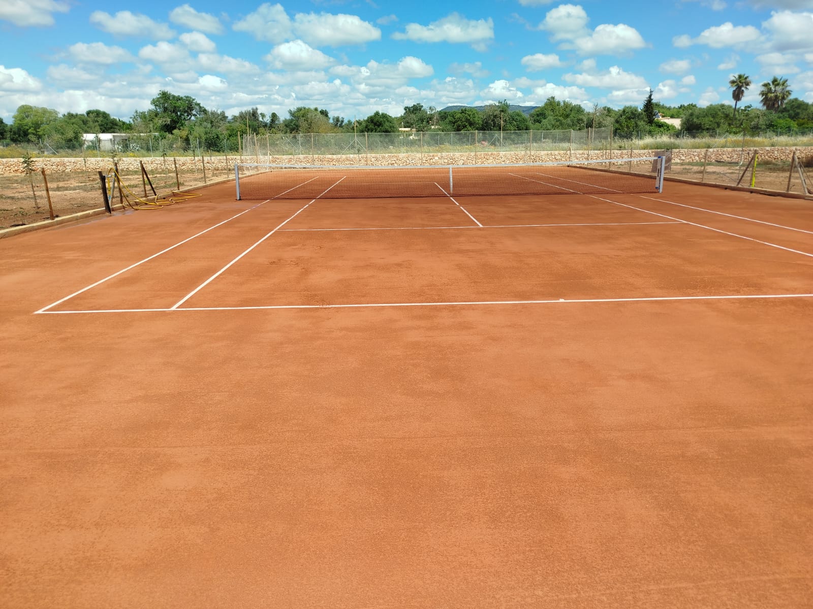 Clases de tenis en Llucmajor con Willy Genovard